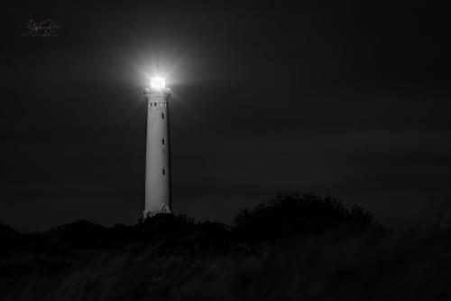 A Light in the Night